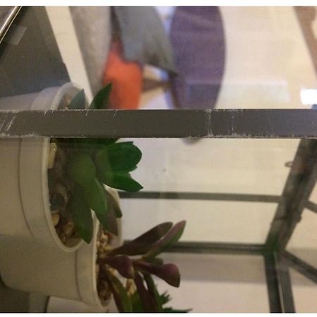 La Lonja Apartman Valle Gran Rey Kültér fotó